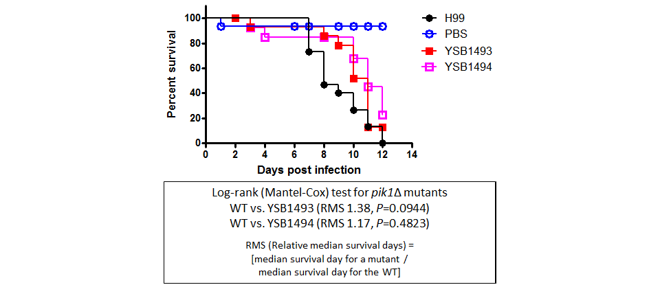 Galleria mellonella virulence data for CNAG_07744T0