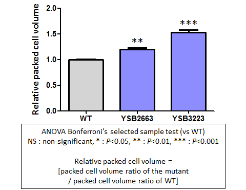 Capsule phenotype for CNAG_07779T0