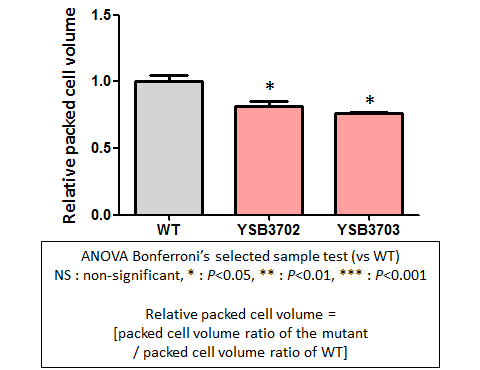 Capsule phenotype for CNAG_08022T0