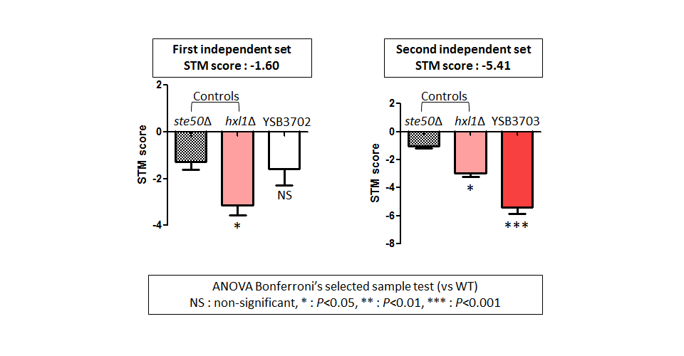 STM murine host model data for CNAG_08022T0